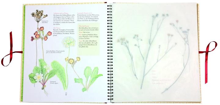 Produktbild Auf der Hummelwiese Das grosse Herbarium (Deutsch, Maj Fagerberg, Stefan Casta, Angelika Kutsch, 2018)