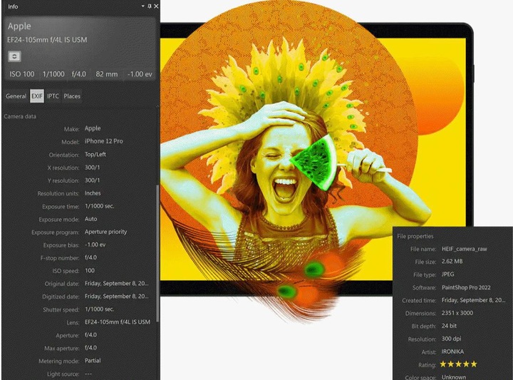 Image du produit Corel PaintShop Pro 2023 (1 Utilisateur, Illimité)
