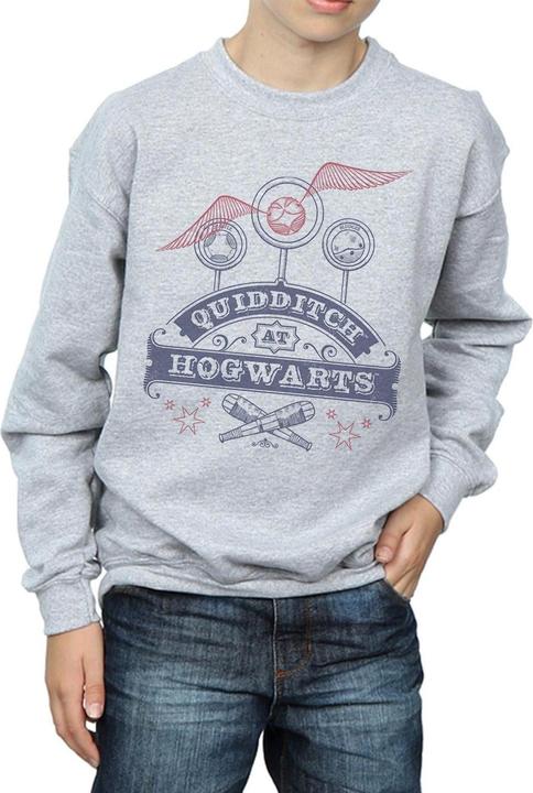 Actual product image Boys Quidditch At Hogwarts Sweatshirt (140, 146)