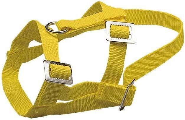 Jaune