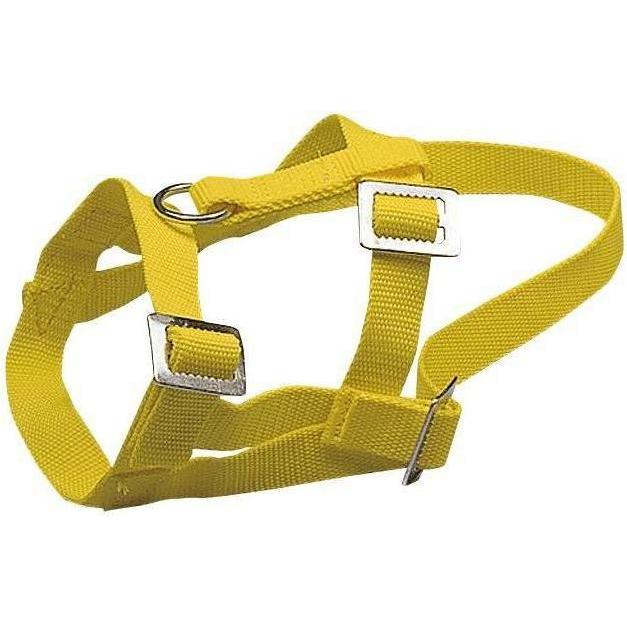 Kerbl Giallo Cavezza