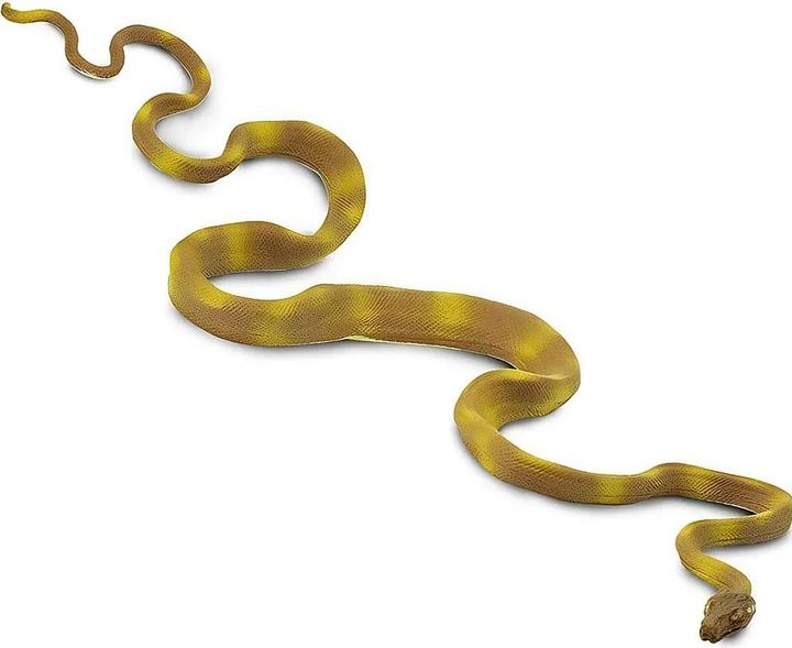 Actual product image Safari Ic Amazon Tree Boa Snake