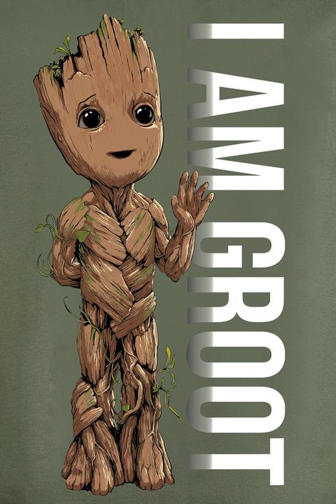 Produktbild Guardians of the Galaxy I Am Groot (XXL)