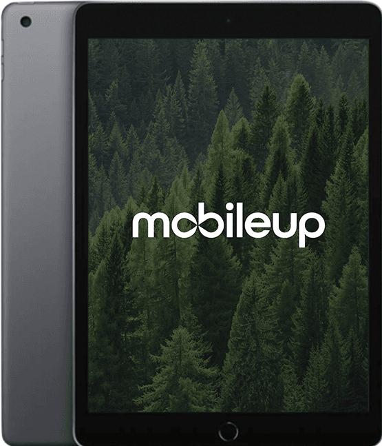 Actual product image mobileup Apple iPad 2021 (9th Gen) (4G, 10.20", 64 GB, Space Grey, A / Like new)