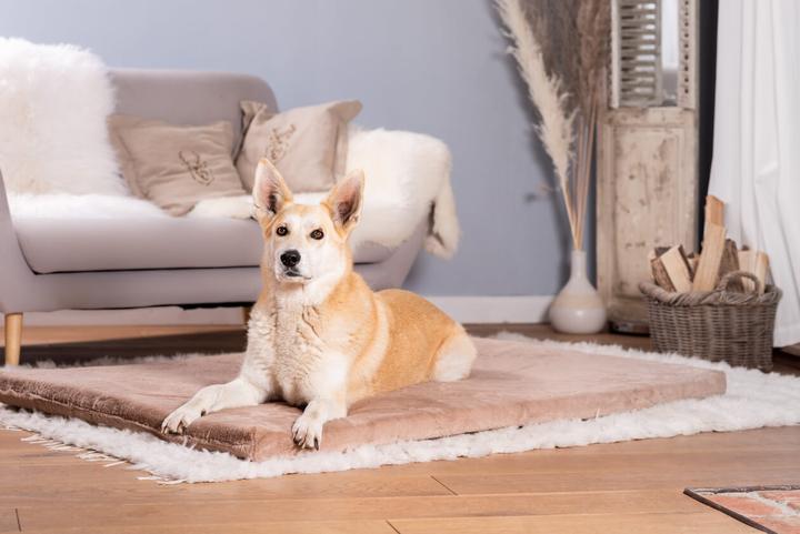 Produktbild Sabro Jokkmokk SilkTouch Hundeliegematte (Hund)