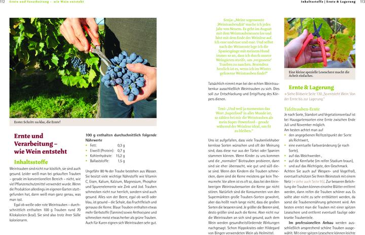 Produktbild Bio-Wein im eigenen Garten (Deutsch, Sonja Schmid, 2021)