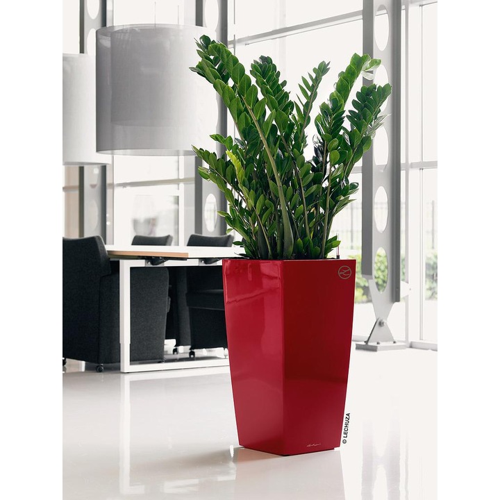 Produktbild Lechuza Cubico (22 cm)