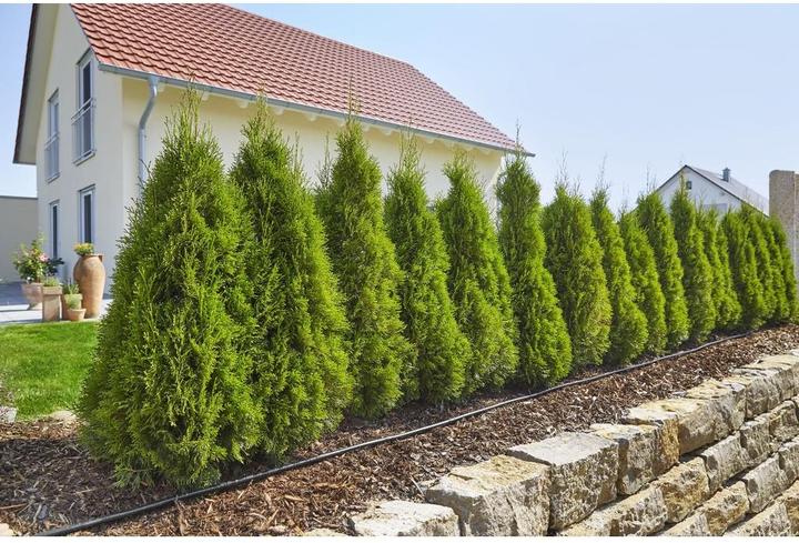 Actual product image Gardena MDS drip pipe above ground (Drip hose + drip tube)