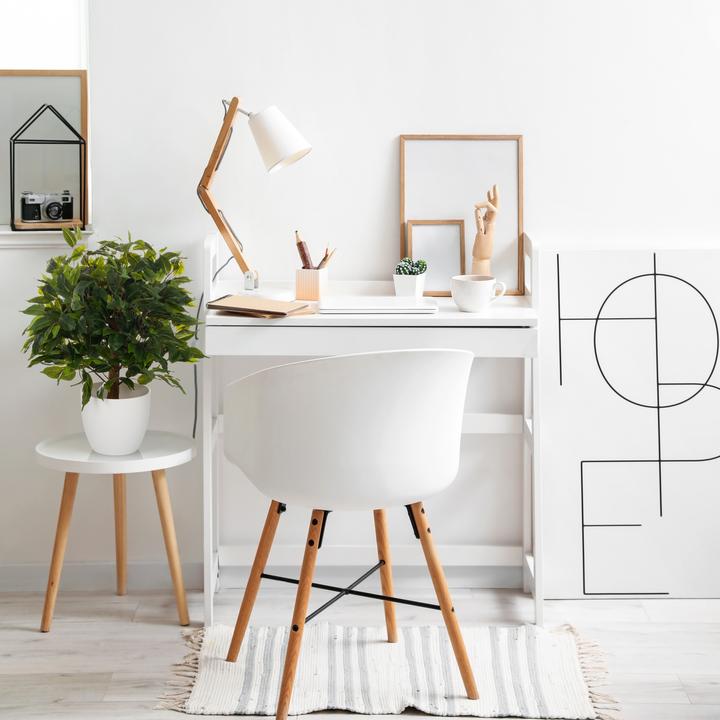 Produktbild Hjh Office Ficus Ii (65 cm)