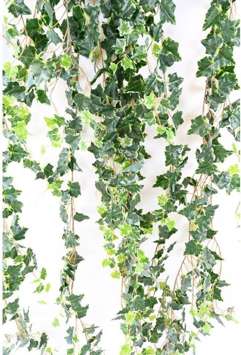 Image du produit Greendeco Mini liane de lierre artificielle, env. 200cm vert/blanc (200 cm)