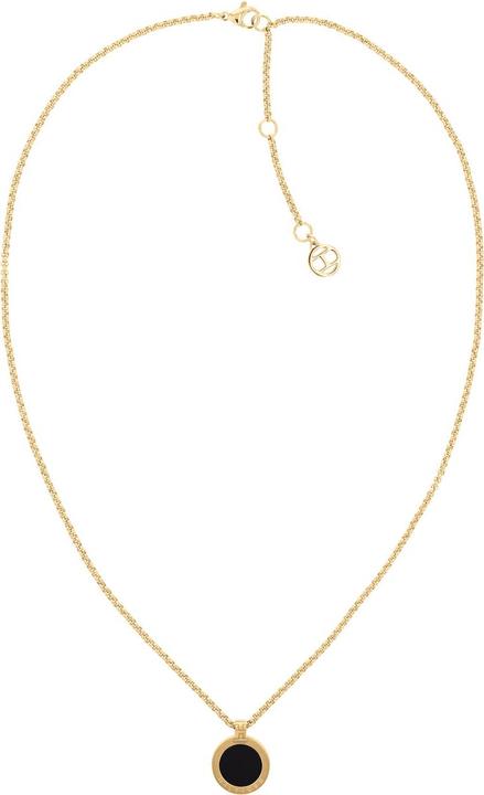 Image du produit Tommy Hilfiger Collier Iconic Circle (Acier inoxydable, 45 - 50 cm)