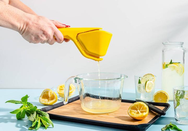 Actual product image DreamFarm Fluicer Saftpresse