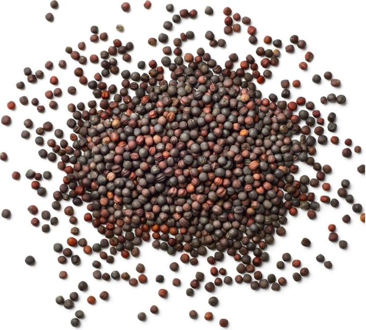 Image du produit Himmelgrün Oreiller de colza 20x20cm chiens (20 x 20 cm)