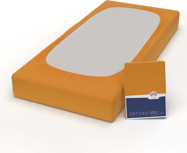 Actual product image Lotus Bettwaren Jersey Fix Comfort (140-160 x 200 cm)