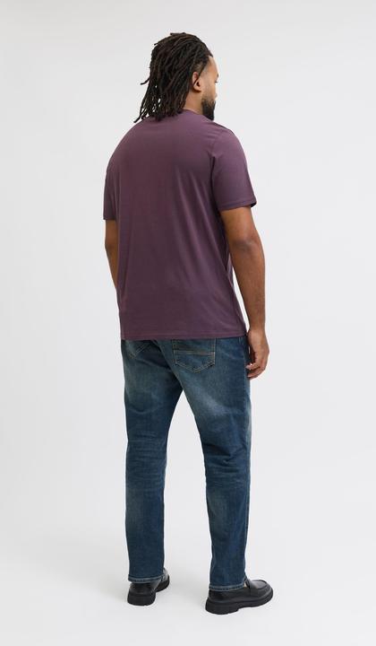 Immagine prodotto Jack & Jones Jjestar Jj Tee Ss Noos Pls (5XL)