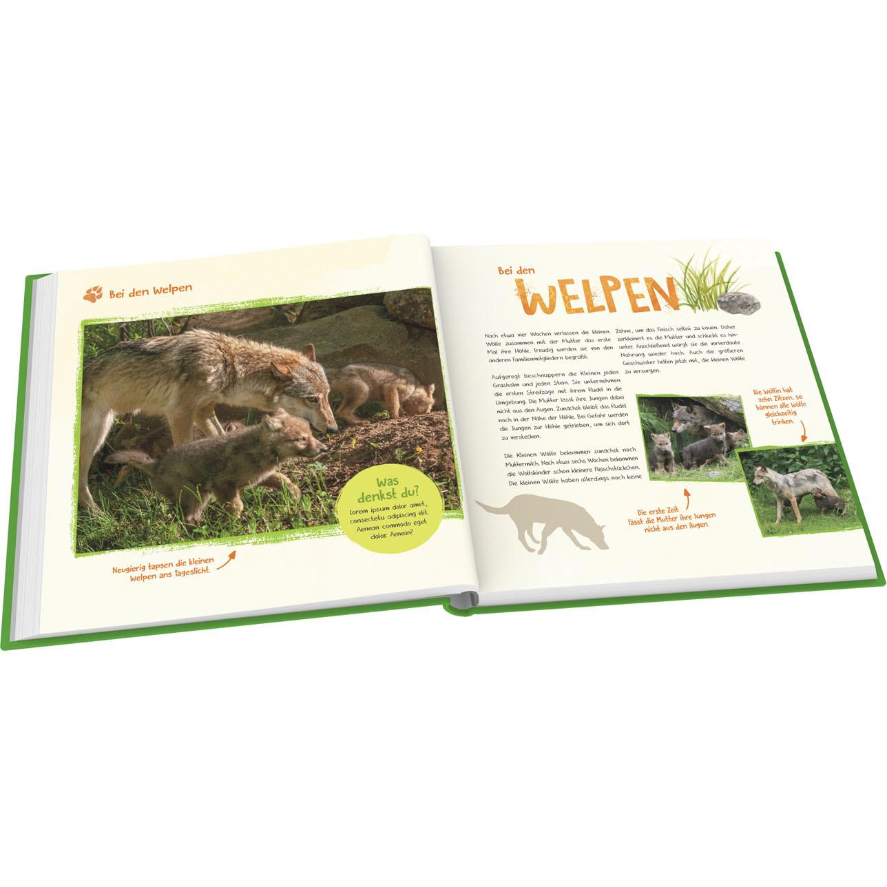 Thumbnail - Komm, ich zeige dir die Wölfe, Kinderbücher von Svenja Ernsten