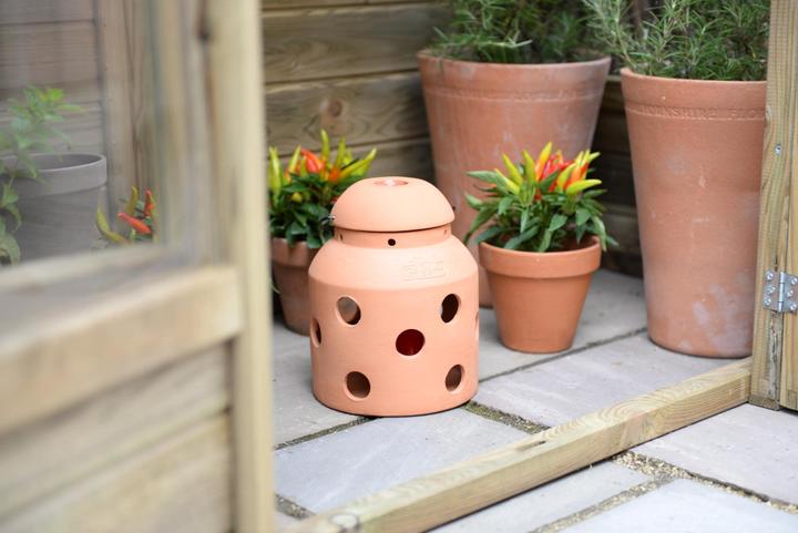 Produktbild Bio Green Firefly