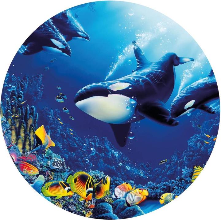 Produktbild Trenddeko Orcas Lebensfreude (Ø 188 cm)