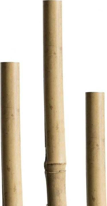 Immagine prodotto Windhager Bastoncini di argilla (180 cm, 1.40 cm)