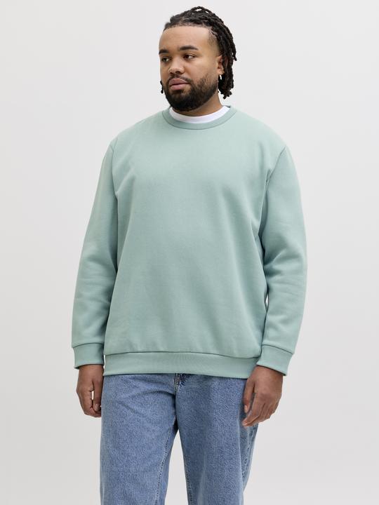 Produktbild Jack & Jones Jjebradley Sweat Crew Noos Pls