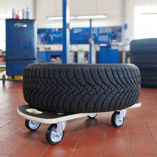 Immagine prodotto Wagner System MaxiGrip (300 kg)