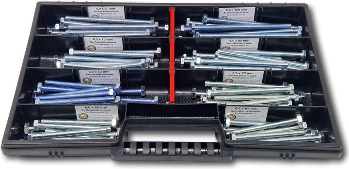 Schraubenbox24 Sechskantschrauben Sortiment M6 65mm-100mm 110 tlg Schraubenbox DIN 933/ISO4017 (110 Schrauben pro Stück)