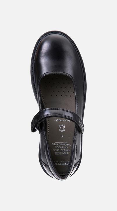 Produktbild Geox Casey Nappa (41)