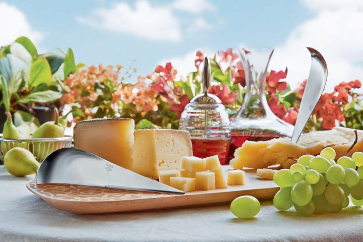 Actual product image Alessi Antechinus cheese knife