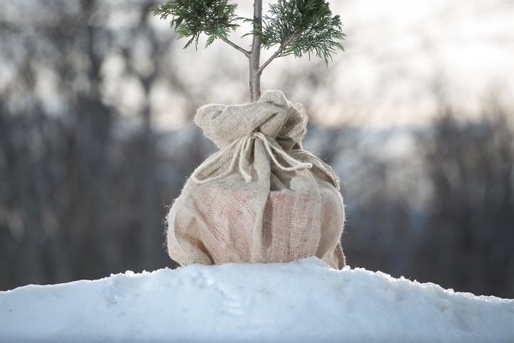 Image du produit Windhager Sac en jute