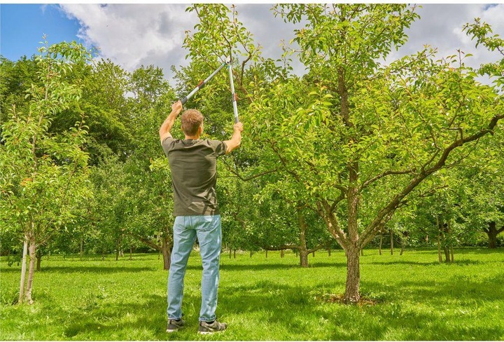 Actual product image Gardena TeleCut Basic