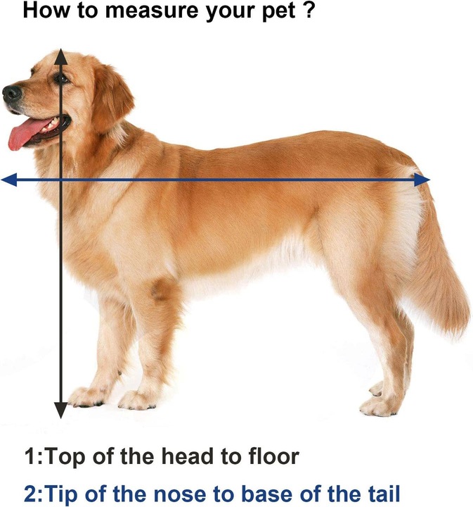 Produktbild Feandrea Strolch (Hund, Atmungsaktiv, Faltbar, Waschbar)