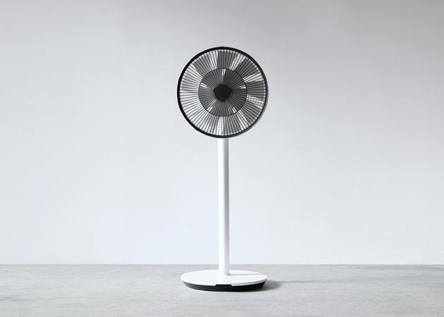 Actual product image Balmuda GreenFan