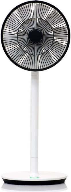 Actual product image Balmuda GreenFan