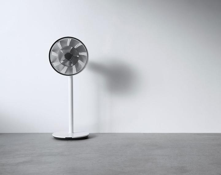 Actual product image Balmuda GreenFan