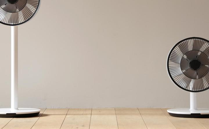 Actual product image Balmuda GreenFan