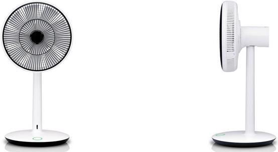 Actual product image Balmuda GreenFan