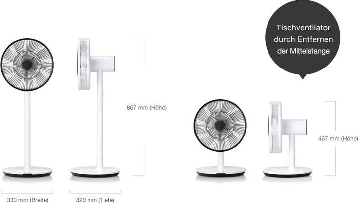 Actual product image Balmuda GreenFan