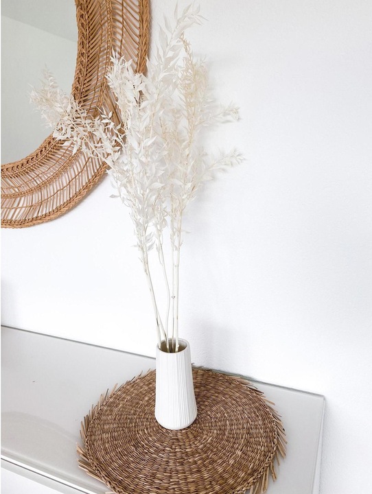 Immagine prodotto Soli Collection Fiori secchi Ruscus 70-75 cm, Bianco (Fiori secchi)