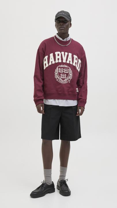 Immagine prodotto Jack & Jones Baggy fit Chino Shorts Chino Shorts (XS)