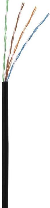 Actual product image Renkforce RF-5043854 RJ45 network cable, patch cable CAT 5e U/UTP 15.00 cm Black (U/UTP, CAT5e, 0.15 m)