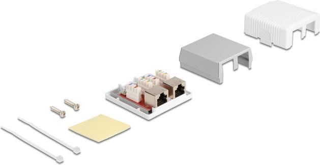 Actual product image Delock RJ-45 Cat.6A Housing: 2 Port (Network Accessories)