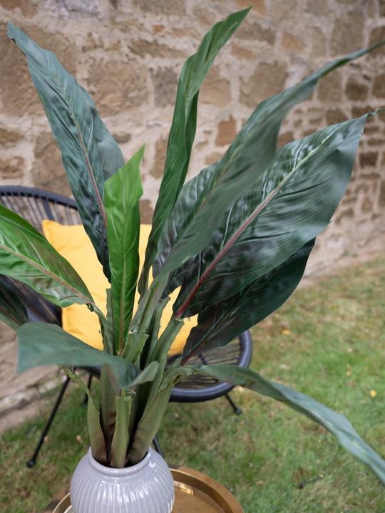 Produktbild Europalms Mangoldbusch, künstlich, 45cm