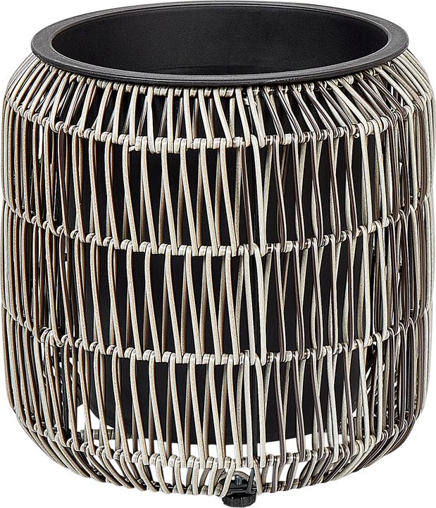 Produktbild Beliani Brodiea