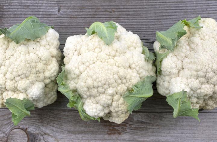 Image du produit Zollinger Bio Blumenkohl, Goodman (Graines de légumes)