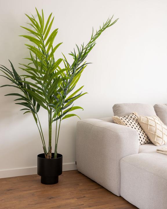 Image du produit Kave Home Palmera (179 cm)