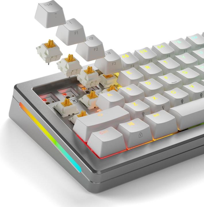 Actual product image Glorious Panda Standard Switches, mechanisch, 5-Pin, taktil, MX-Stem, 50g - lubed, 36 Stück