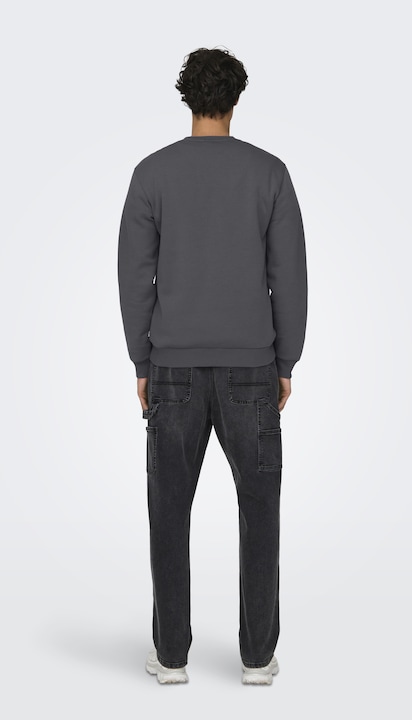 Image du produit Only & Sons Onsceres Crew Neck Noos (S)