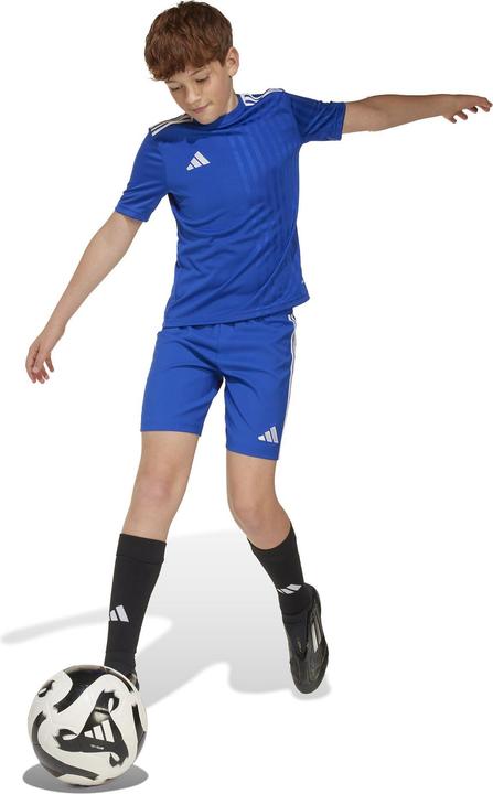 Immagine prodotto adidas Maglia Campeon 25 Bambini (116)