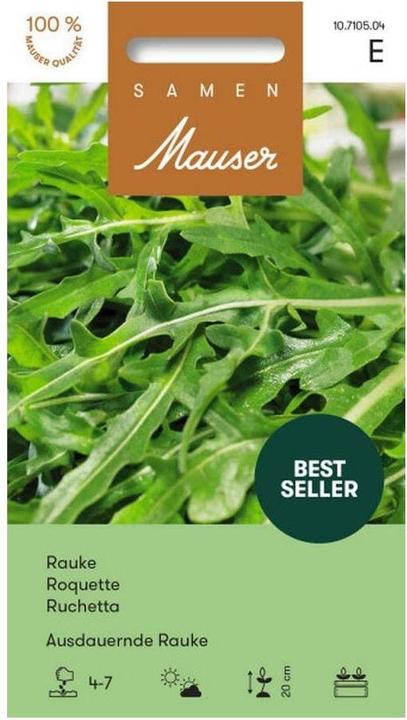 Produktbild Samen Mauser Ausdauernde Rauke (Kräutersamen)