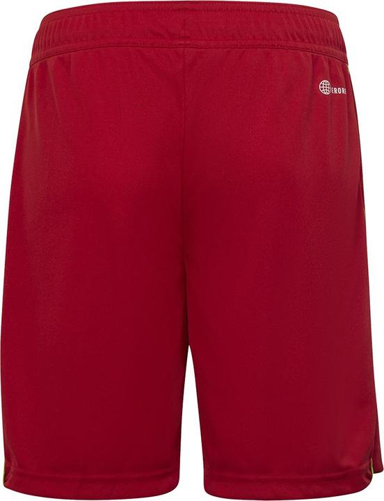 Actual product image adidas Tiro 23 training shorts kids (128)